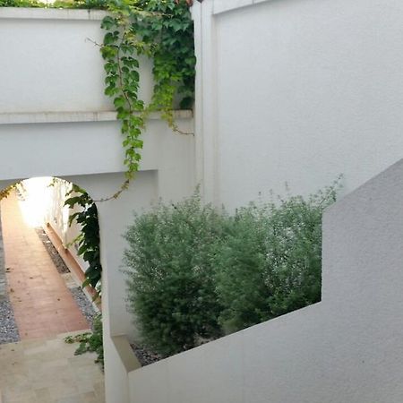 Villa Olivia Kotor Luaran gambar